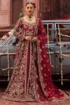 Red Pakistani Wedding Dress with Embroidered Organza Layers